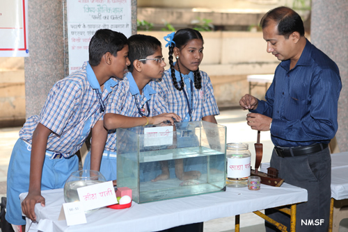 Science Utsav-2014 NMSF