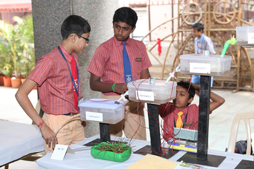 Science Utsav-2014 NMSF