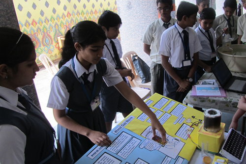 Science Utsav-2014 NMSF