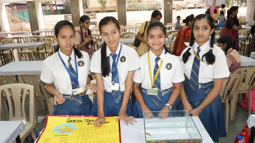 Science Utsav-2015 NMSF