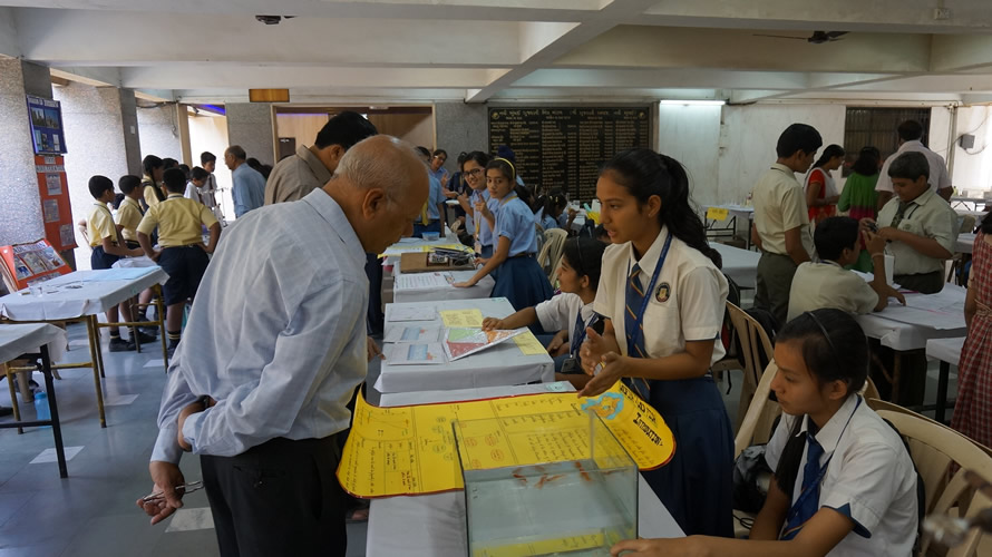 Science Utsav-2015 NMSF